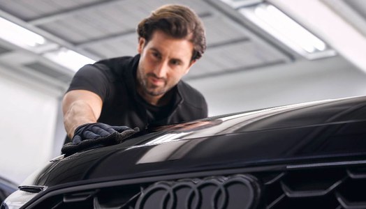 Audi Pflege