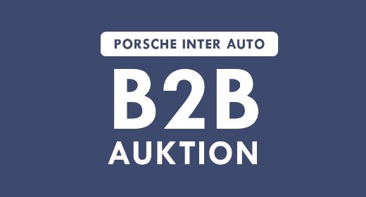 PIA B2B Auktion