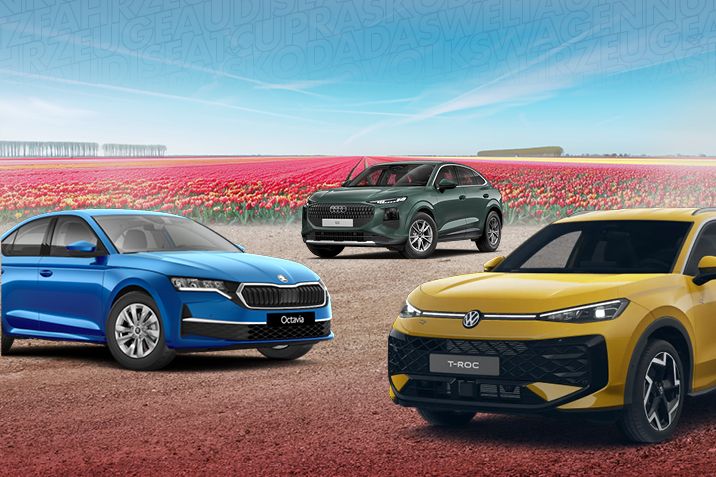 Frühling bei PIA