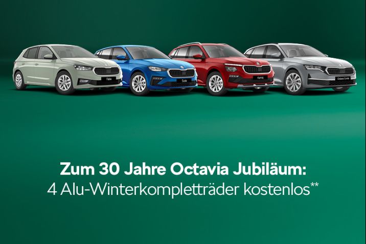 Mehr Auswahl. Mehr Vorteil. Mehr Škoda