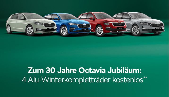 Mehr Auswahl. Mehr Vorteil. Mehr Škoda