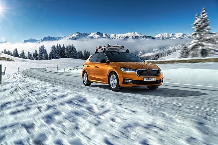Fabia_Winter